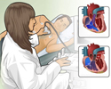 Echocardiography overview